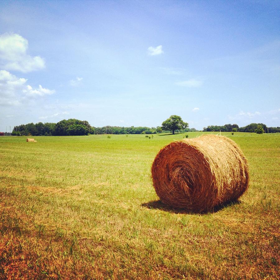 Summer Photograph - Tennessee Field by Skylar Fordahl