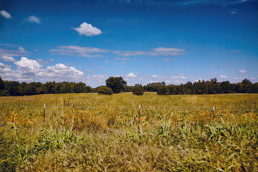 Tennessee Fields Country Landscape Scene Photograph By Jai Johnson