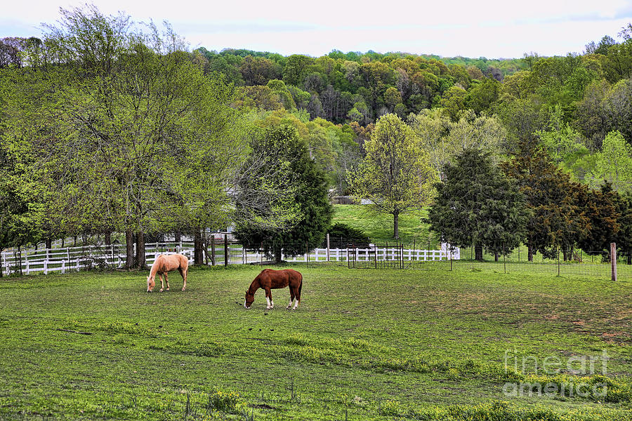 Tennessee Landscape I Photograph by Chuck Kuhn