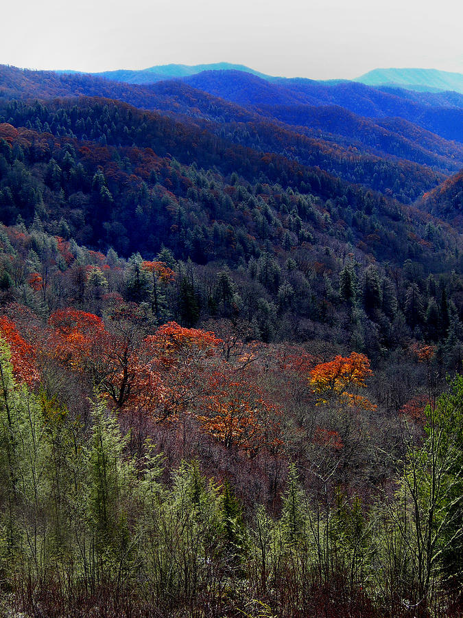 Tennessee Mountains Photograph by Skip Willits