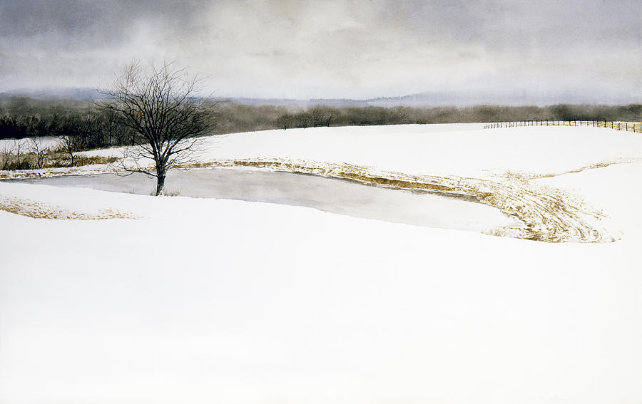 Tennessee Pond Painting by Tom Wooldridge
