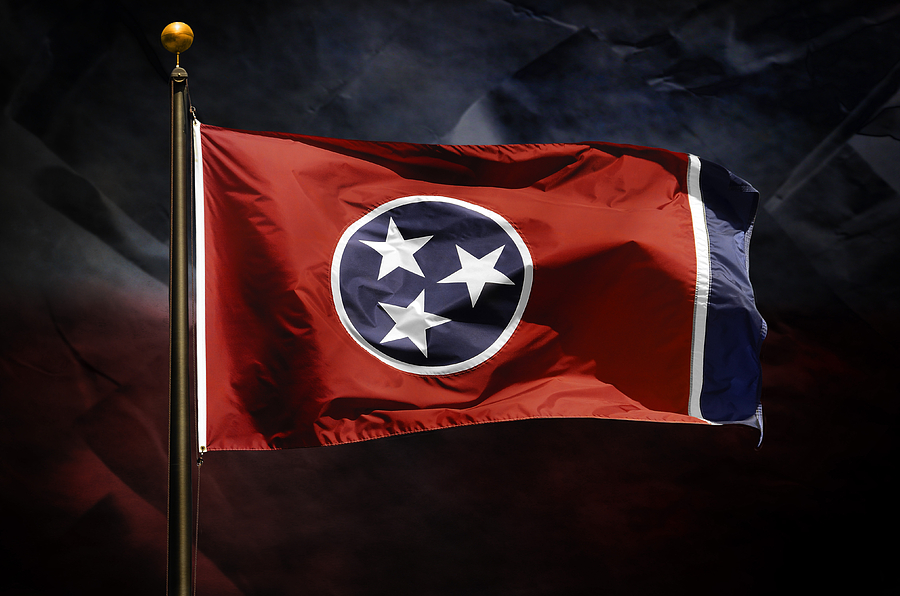 Tennessee State Flag Photograph by Steven Michael
