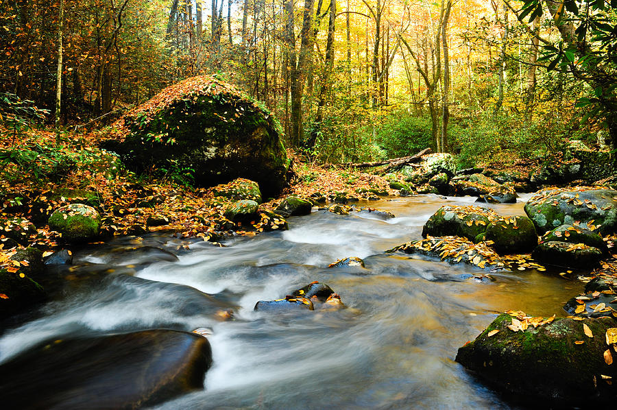 Great Smoky Mountains National Park Photograph - Tennessee Stream in Fall by Don and Bonnie Fink Great Smoky Mountains National Park Photograph - Tennessee Stream in Fall by Don and Bonnie Fink