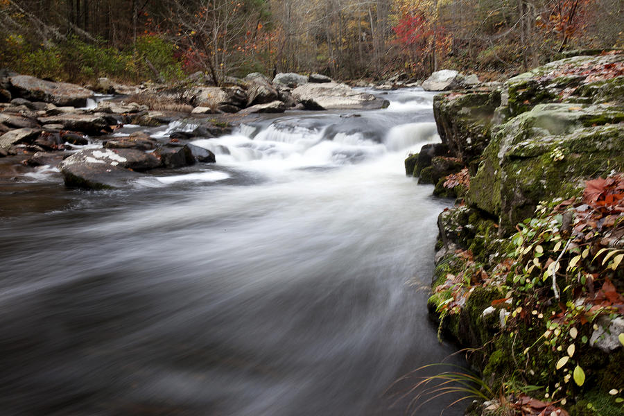 Tennessee Stream Photograph by Robert Camp