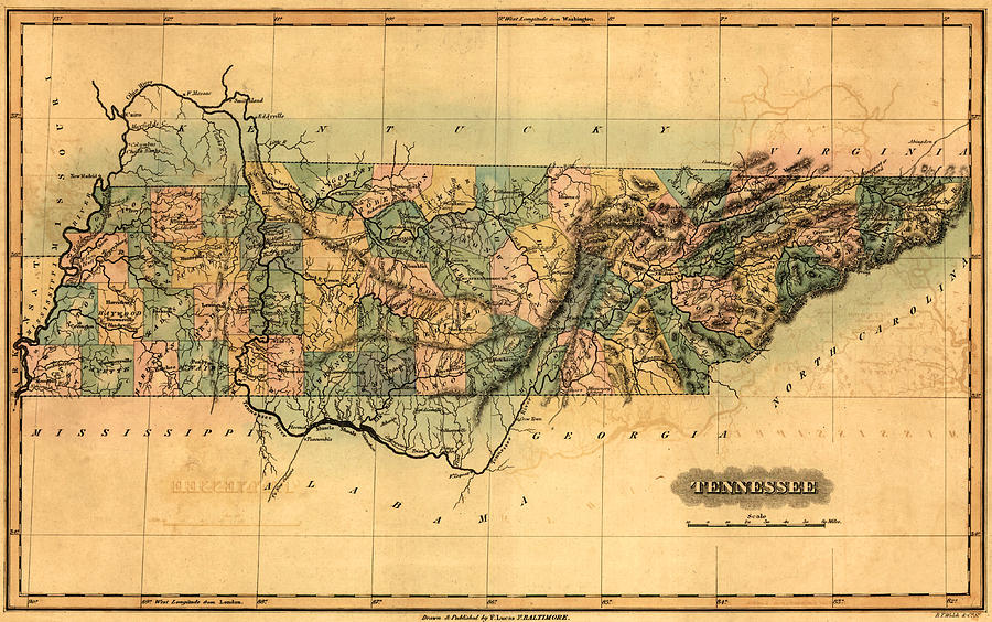 Tennessee Vintage Antique Map Drawing by World Art Prints And Designs