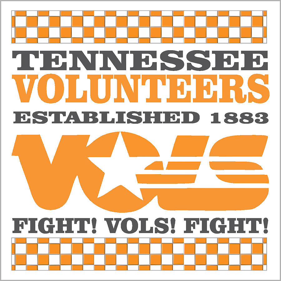 Tennessee Volunteers Fight Photograph by Debbie Karnes