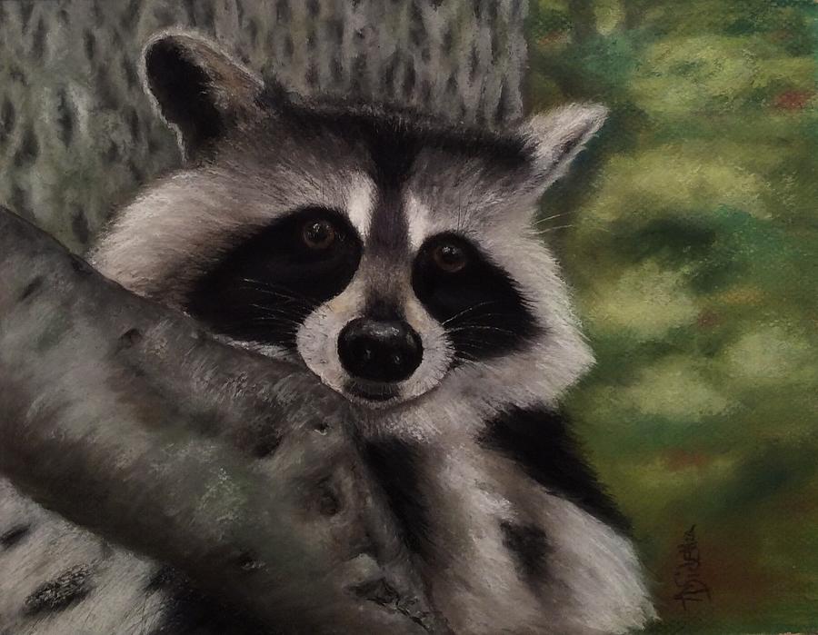 Raccoon Painting - Tennessee Wildlife - Raccoon by Annamarie Sidella-Felts