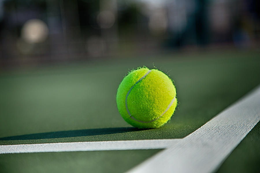 Tennis Anyone Photograph by Karol Livote
