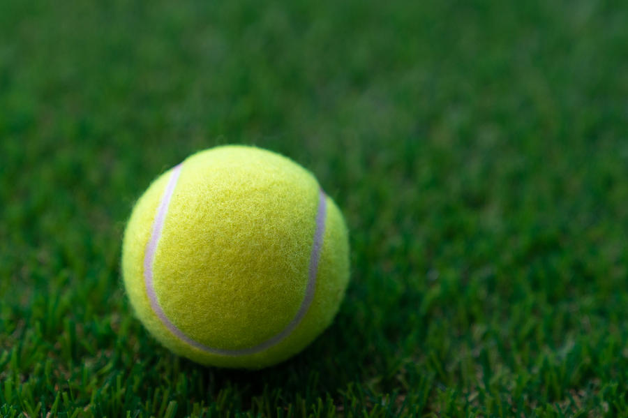 Tennis ball on a green background,Tennis Photograph by Krisanapong Detraphiphat