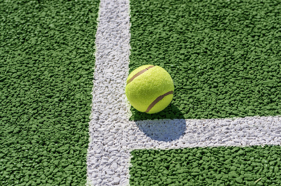 Tennis ball Photograph by Paulo Goncalves