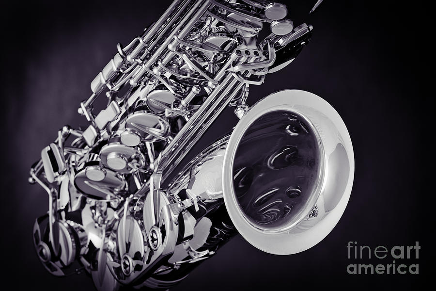 Tenor Saxophone Sepia Tone Photograph 3358.01 Photograph by M K Miller