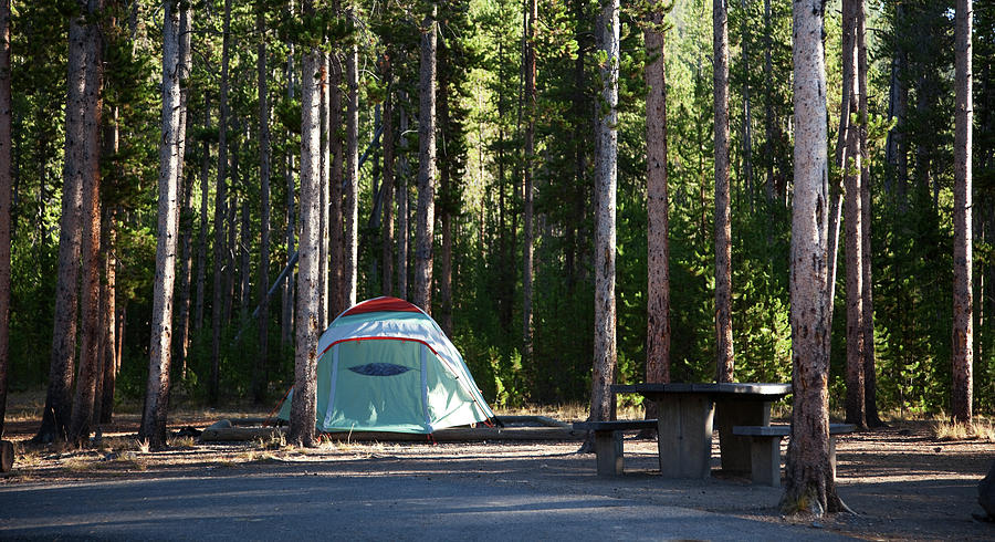 Tent In Yellowstone Campsite Photograph by Terryfic3d