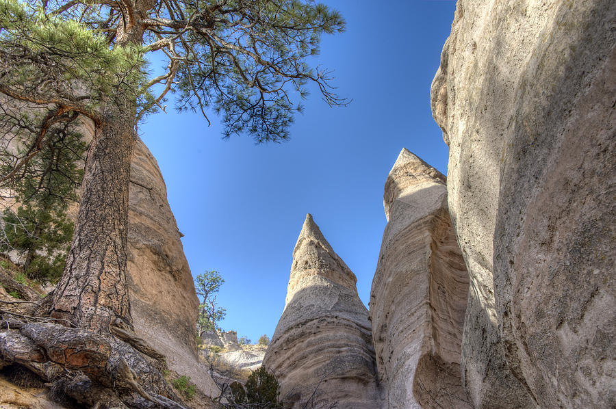 Tent Rocks, New Mexico Photograph by Mark Newman