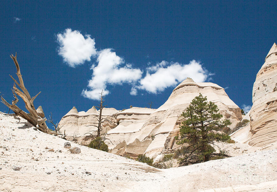 Landscape Photograph - High Noon At Tent Rocks by Roselynne Broussard