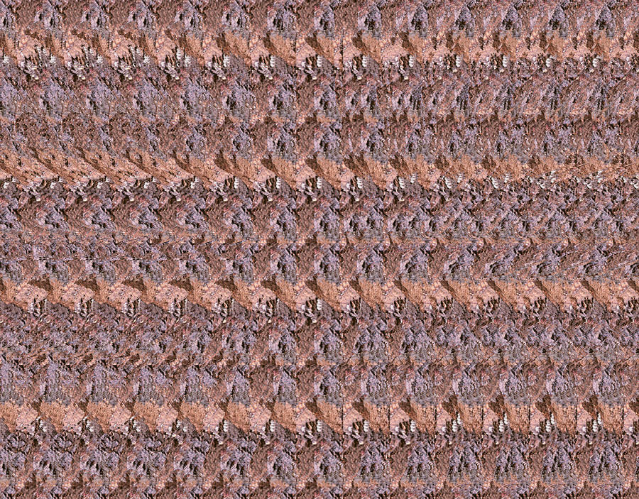 Tentacles Stereogram Photograph