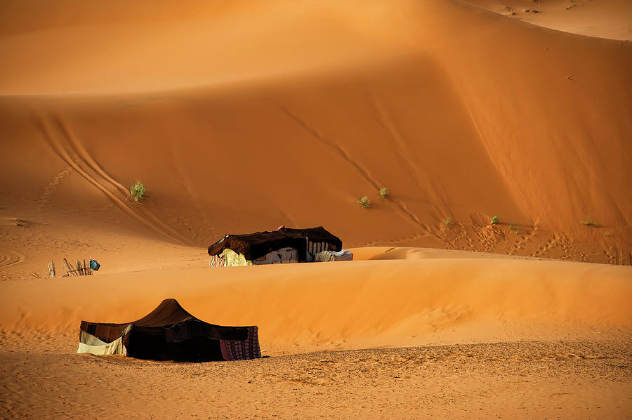 Tents In Sahara Desert Photograph by Copyright @ Sopon Chienwittayakun