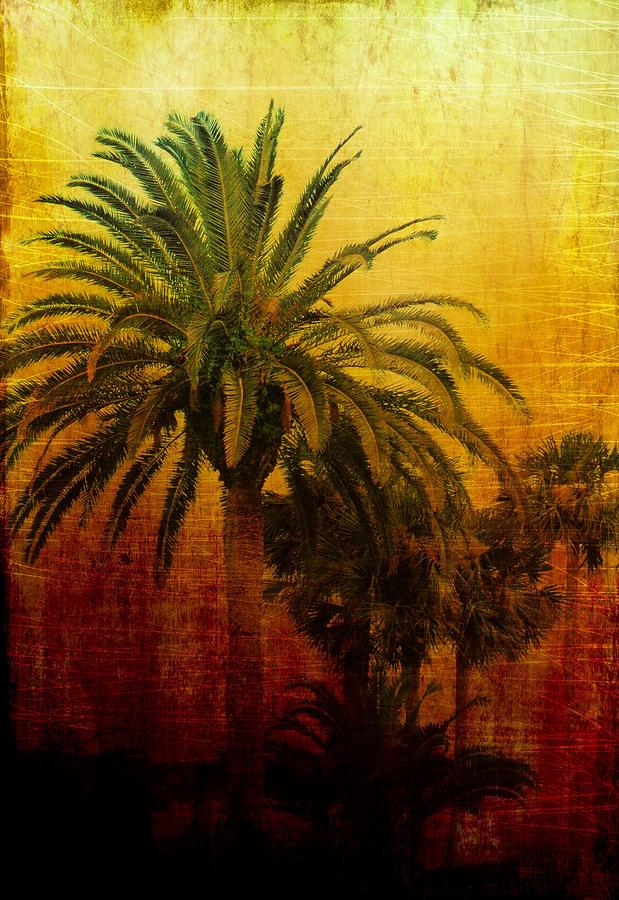 Tequila Sunrise Digital Art by Jan Amiss Photography