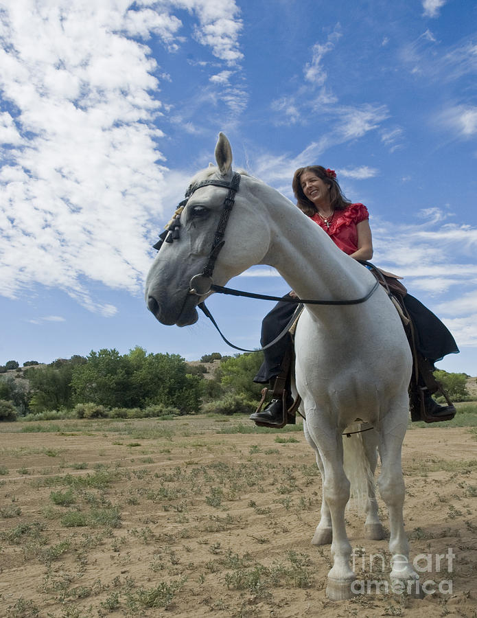 Horse Photograph - Teresa and Zeema by Layne Adams