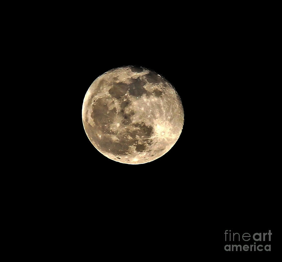 Teresa the Moon Photograph by Kip Krause