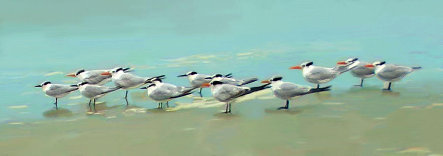 Tern Tern Tern Digital Art by Deborah Boyd