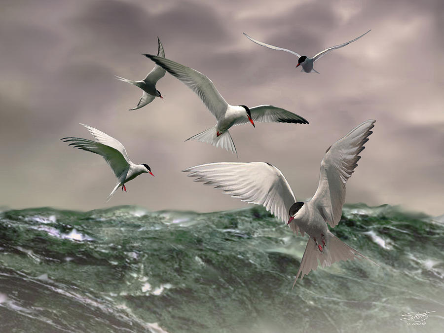 Terns Feasting at Sea Painting by M Spadecaller