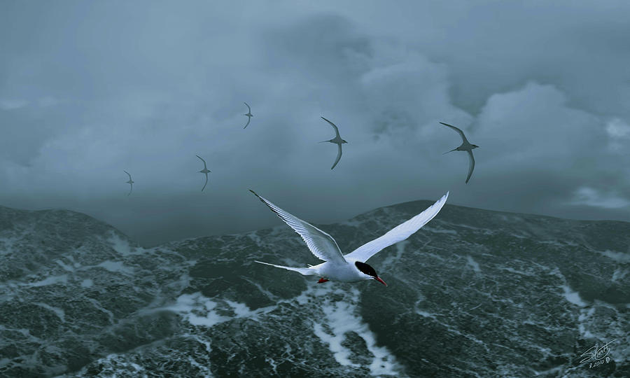 Terns over Stormy Seas Painting by M Spadecaller