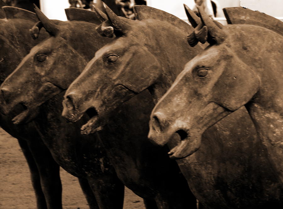 Terra Cotta Horses - Xiang - Sepia Photograph by Jacqueline M Lewis