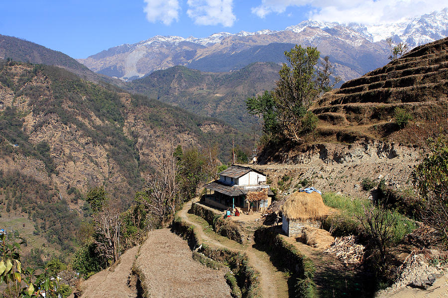 Terraced Fields - Nepal Photograph by Aidan Moran
