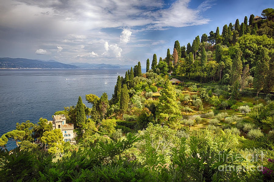 Architecture Photograph - Terraced Hillside of Portofino by George Oze
