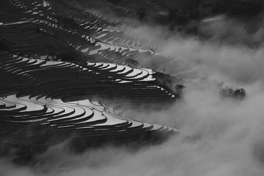 Terraced rice field Photograph by Jason KS Leung
