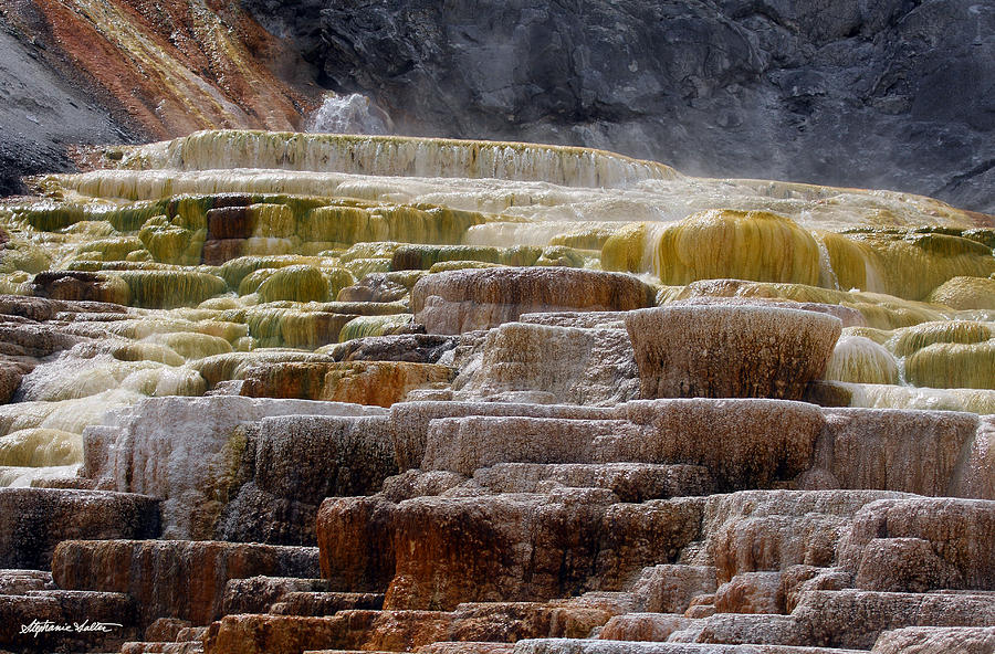 Travertine Terraces at Mammoth Hot Springs in Yellowstone N.P. Photograph by Stephanie Salter