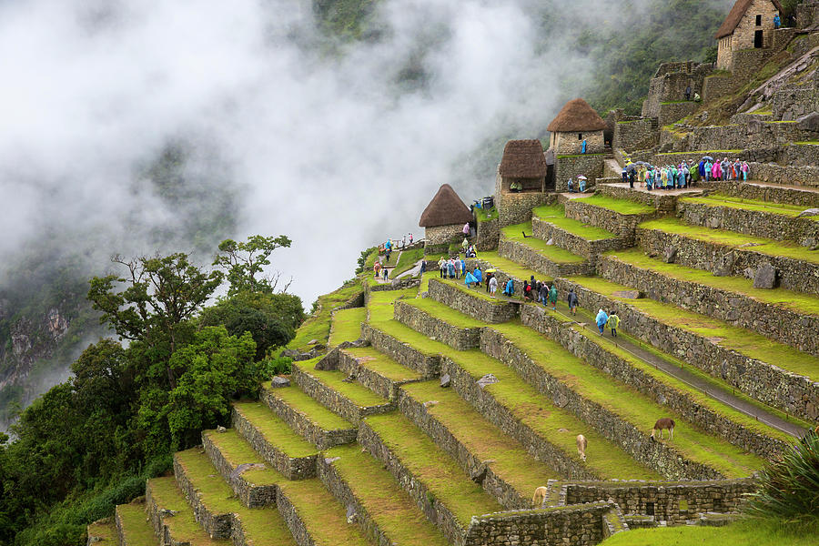 Ancient Civilization Photograph - Terracing At Machu Pichu, Peru by Julia Cumes Ancient Civilization Photograph - Terracing At Machu Pichu, Peru by Julia Cumes