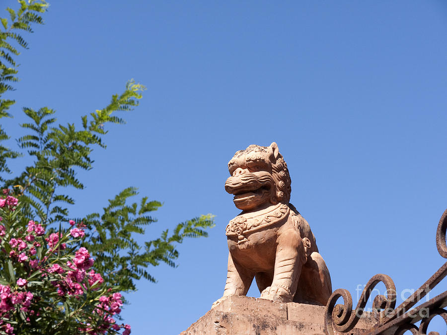 Terracotta Chinese Lion  Photograph by Brenda Kean