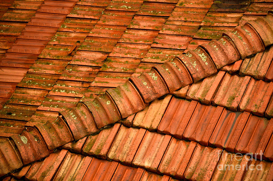 Terracotta Patterns Photograph by Tiffany Dryburgh Fine Art America