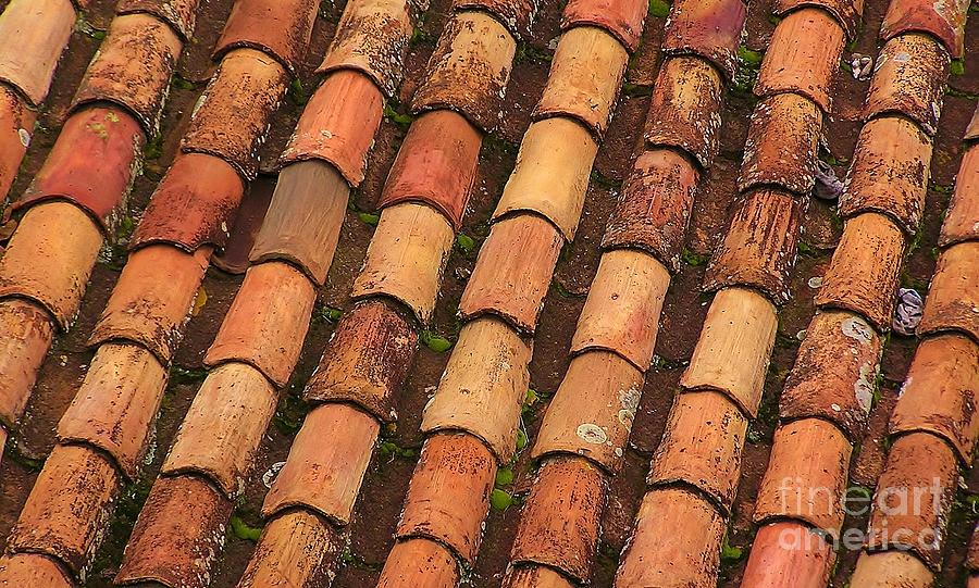 Terracotta Roof Art Photograph by Michele Penner