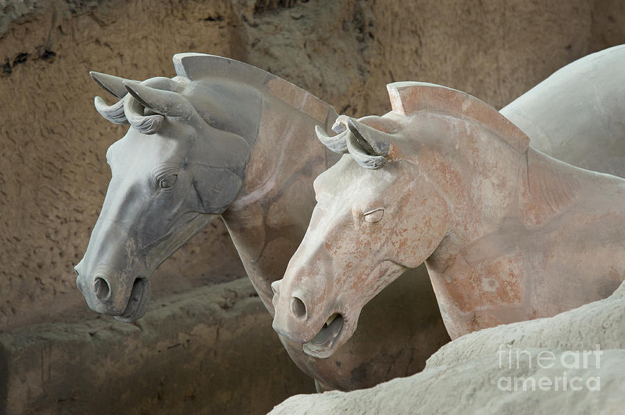 Terracotta Warrior Horses, China Photograph by John Shaw