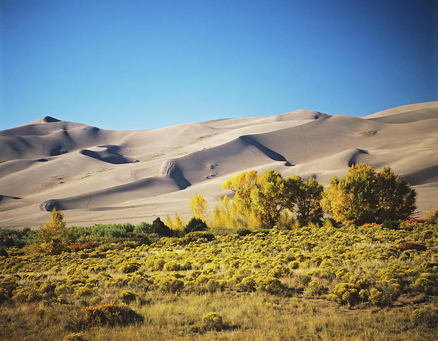 Terrain Of Texas, Usa By Adina Tovy