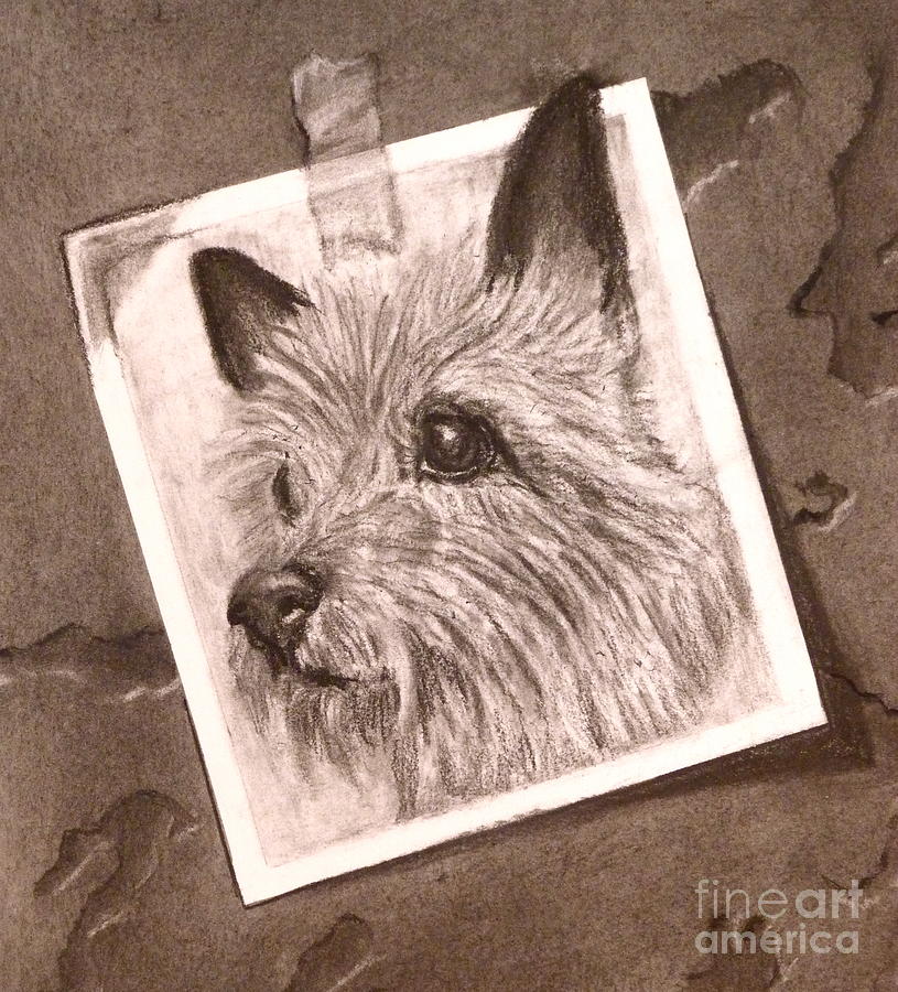 Terrier as Optical Illusion Drawing by Susan A Becker