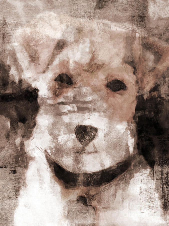 Animal Mixed Media - Terrier I by Lutz Baar