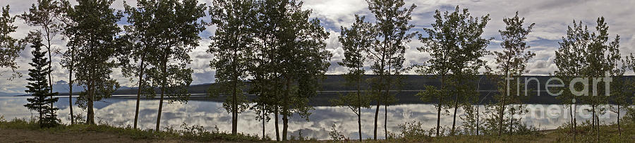 Teslin Lake Photograph by Inge Riis McDonald