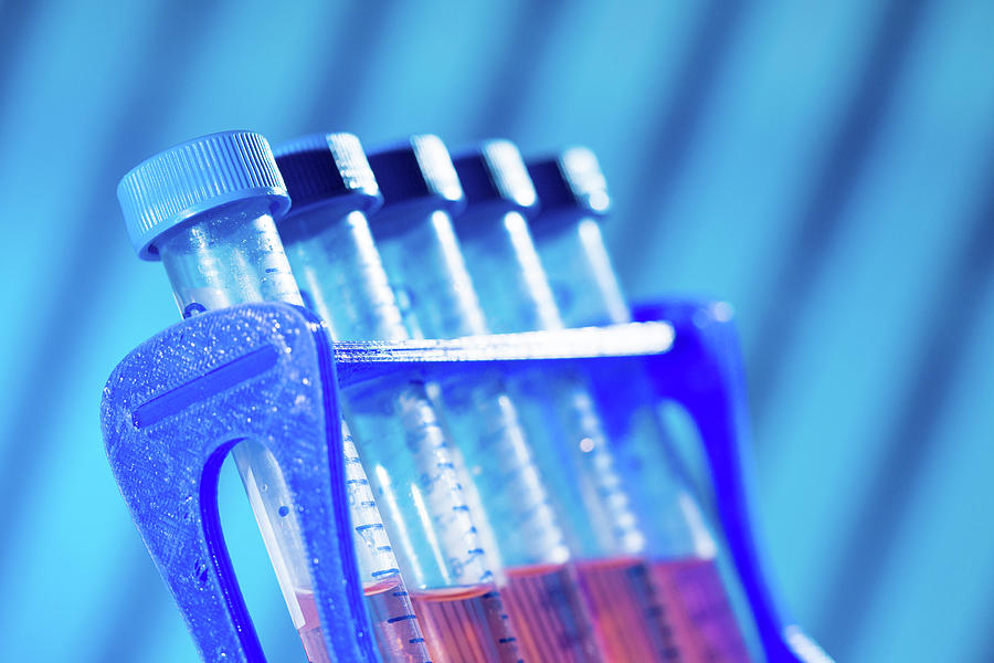 Test Tubes In Test Tube Rack Photograph By Wladimir Bulgar Science