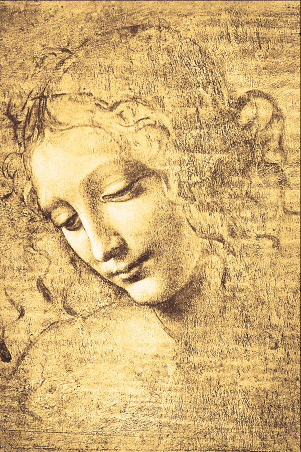 Testa di fanciulla detta la scapigliata Painting by Leonardo Da Vinci