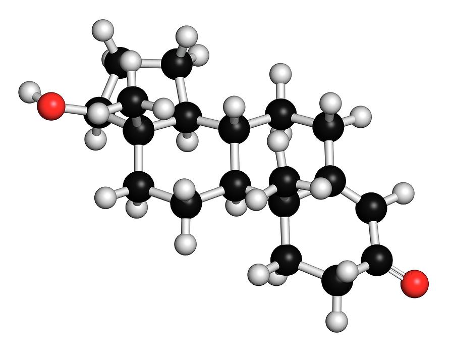 Testosterone Molecule Photograph by Molekuul