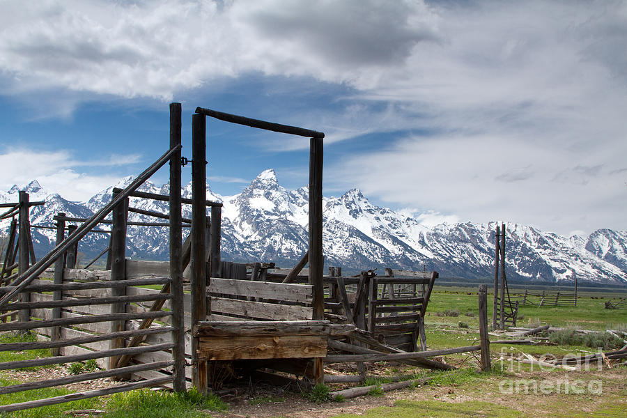 Teton cattle ramp Photograph by Dan Hartford