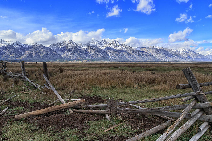 Teton Fences Photograph by Jared Perry 