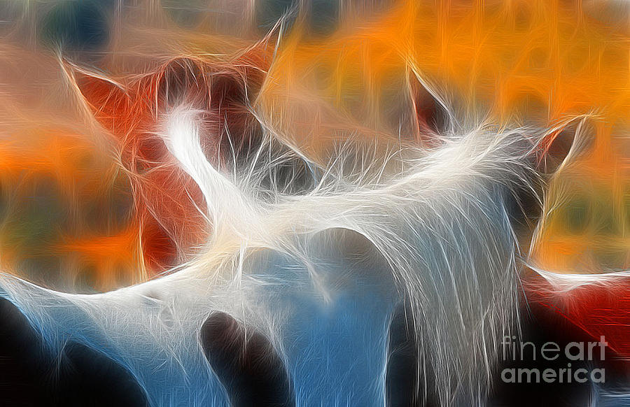 Teton Horses Photograph by Clare VanderVeen