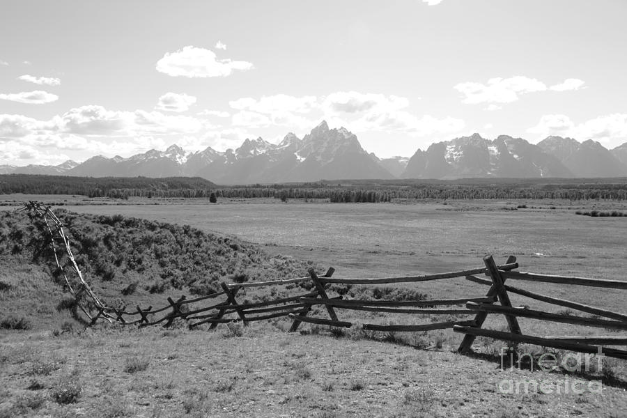 Teton Landscape with Fence - Black and White Photograph by Carol Groenen