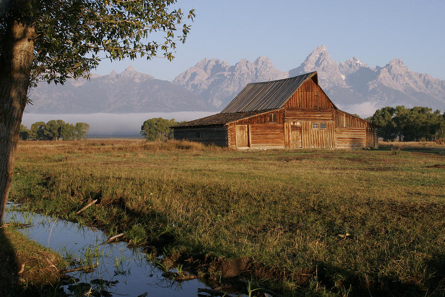 Teton Morning Magic Photograph by Wes and Dotty Weber