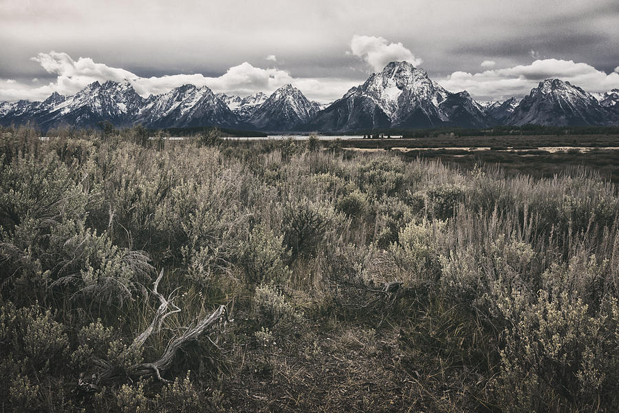 Teton Range At Oxbow Photograph by Robert Fawcett