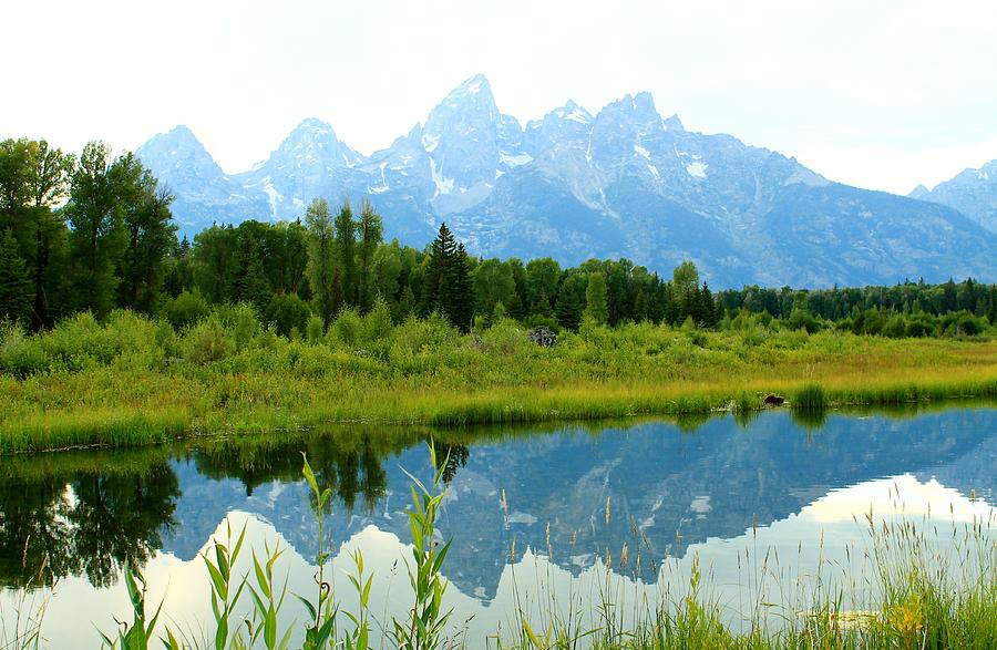 Teton Reflections Photograph by Catie Canetti